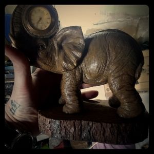 Elephants